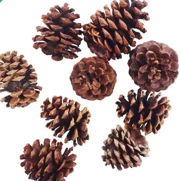 Cinnamon Scented Pinecones 3 dry quart/3.3 L - Picture 3 of 4